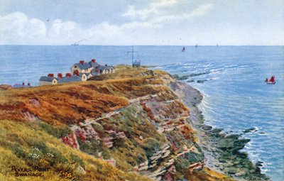 Peveril Point, Swanage da Alfred Robert Quinton